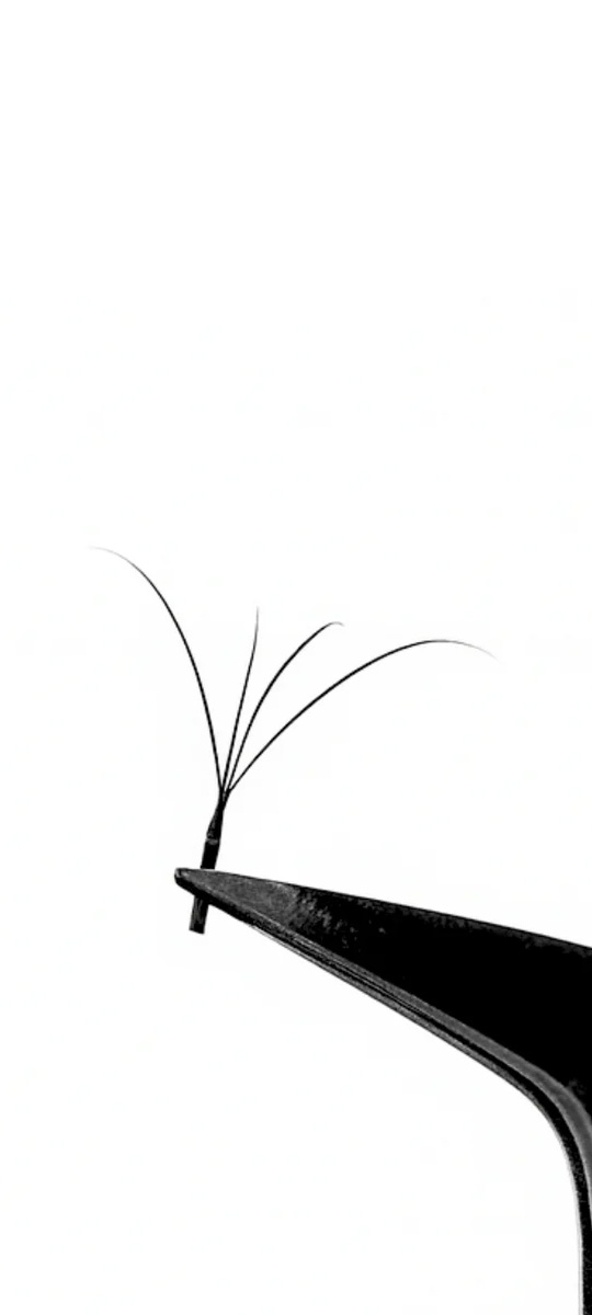 Blinka