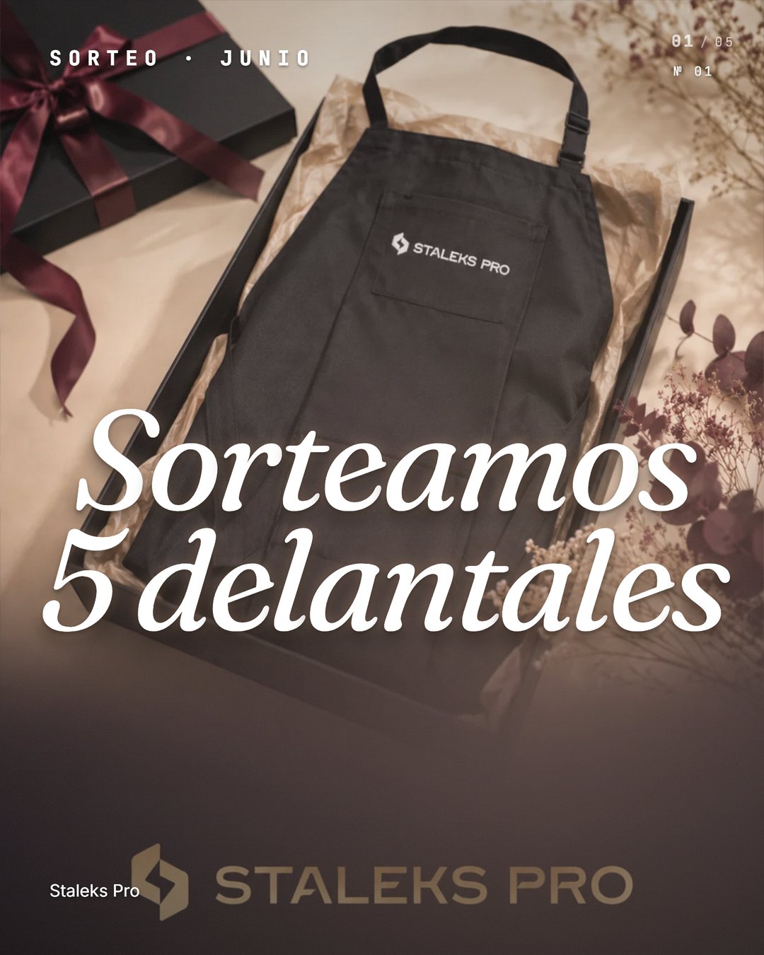 Sorteo Staleks · 5 Delantales